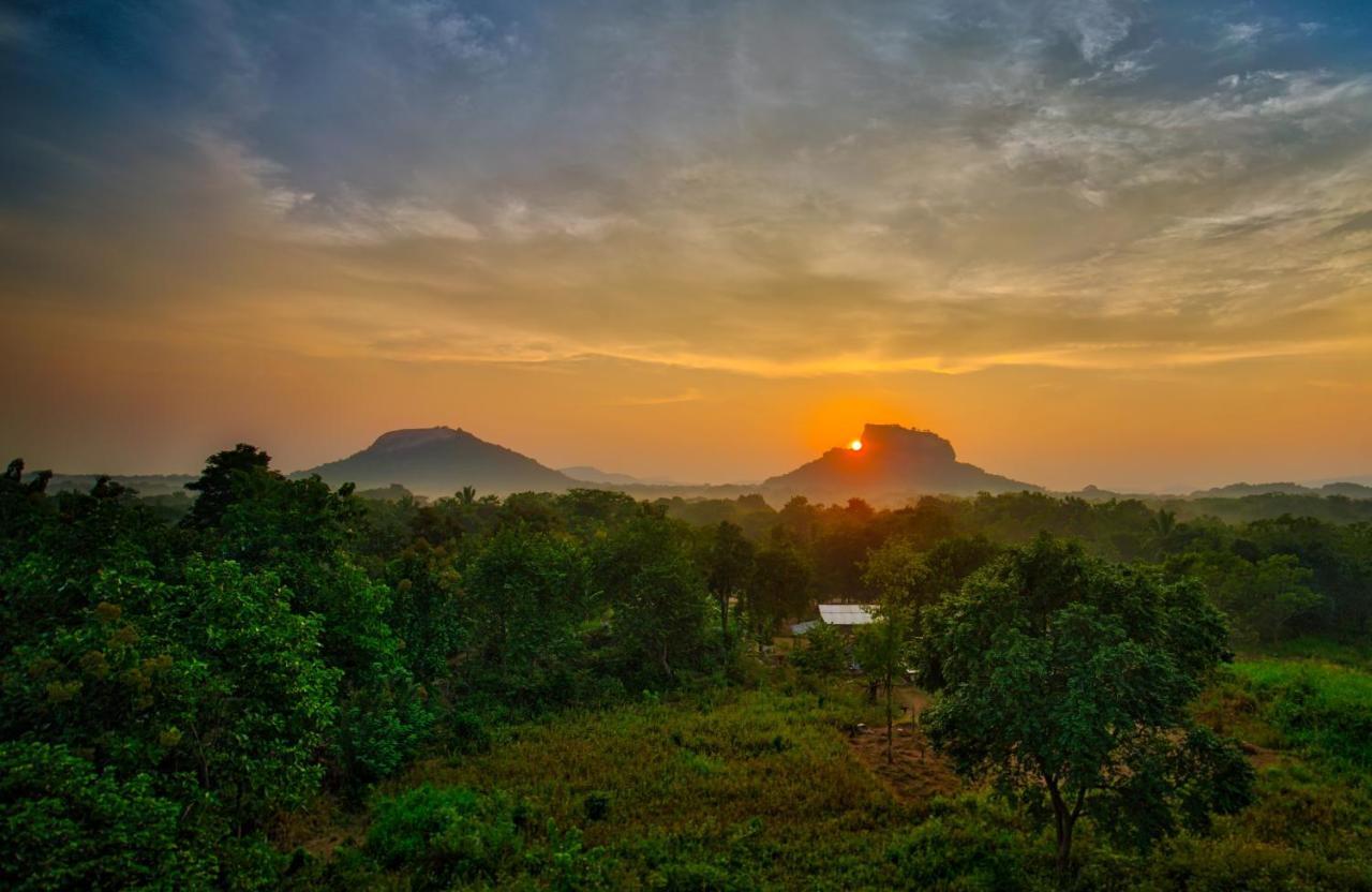 Sigiri Choona Lodge 'Unique Sunrise Viewpoint' Sigiriya Exteriör bild